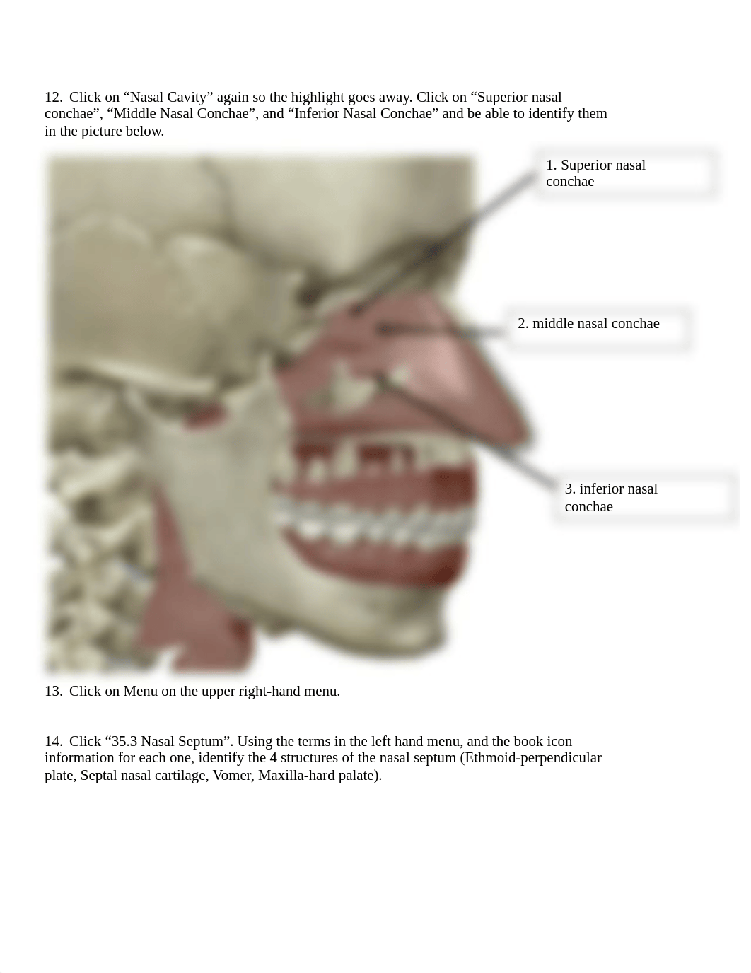 BIO 211 Lab 5 Online Lab Activity YTC Complete1.docx_dzhyqd9tel4_page2