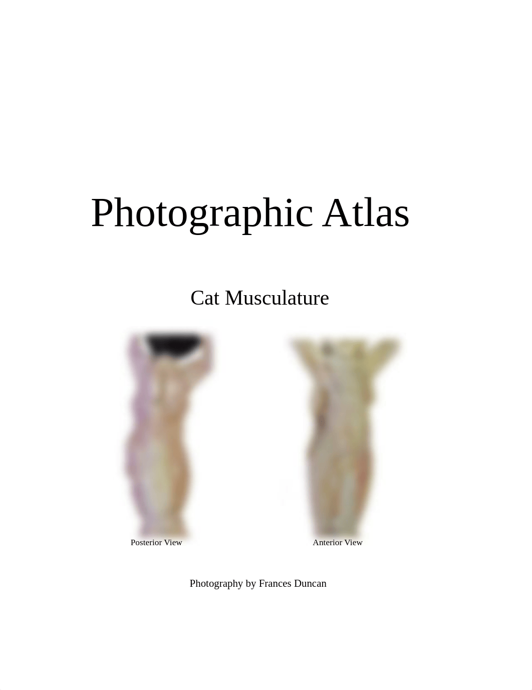 Photographic atlas of cat .pdf_dzi14y1sd5e_page1