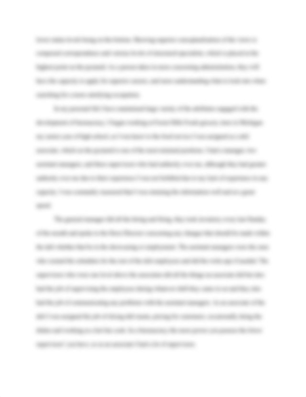 Bureaucracy Essay_dzi1yfy3bz1_page2