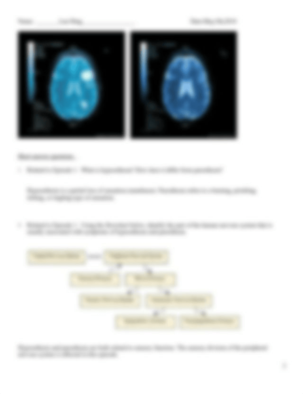 Neuroanatomy_Case study.doc_dzi4sdv682z_page2