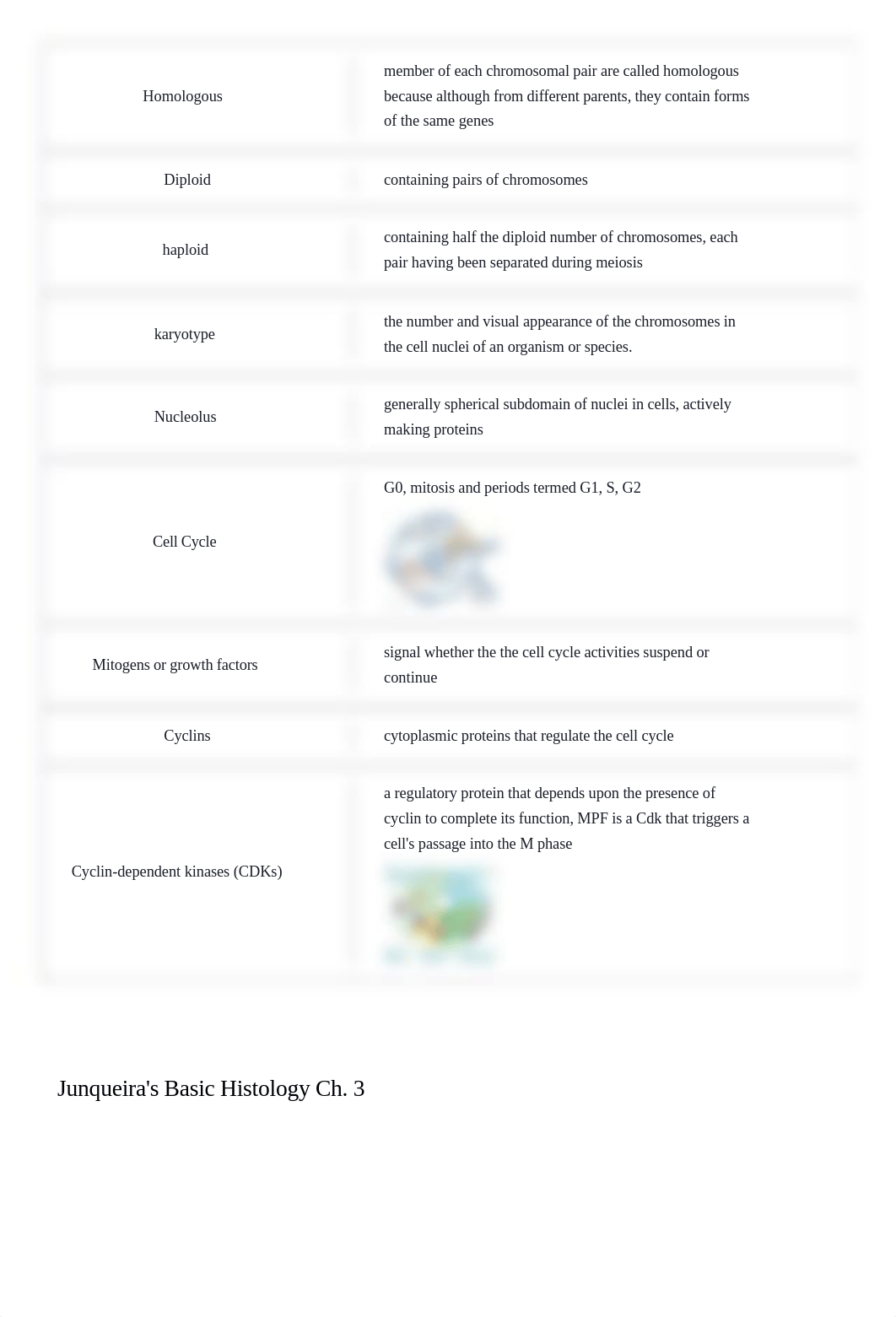 Junqueira's Basic Histology Ch. 3 Flashcards _ Quizlet.pdf_dzi9j7t5t76_page3