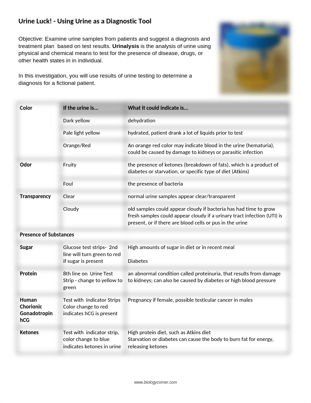 Urine_Luck_-_Using_Urine_as_a_Diagnostic_Tool_dzim92pncjt_page1