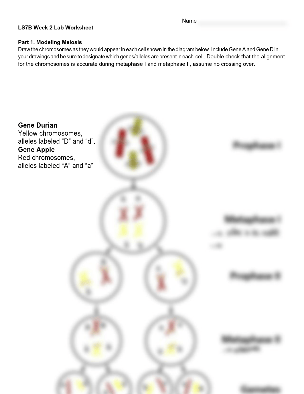 LS7B Week 2 Lab Worksheet S22 (2).pdf_dzix8cvvf9k_page1