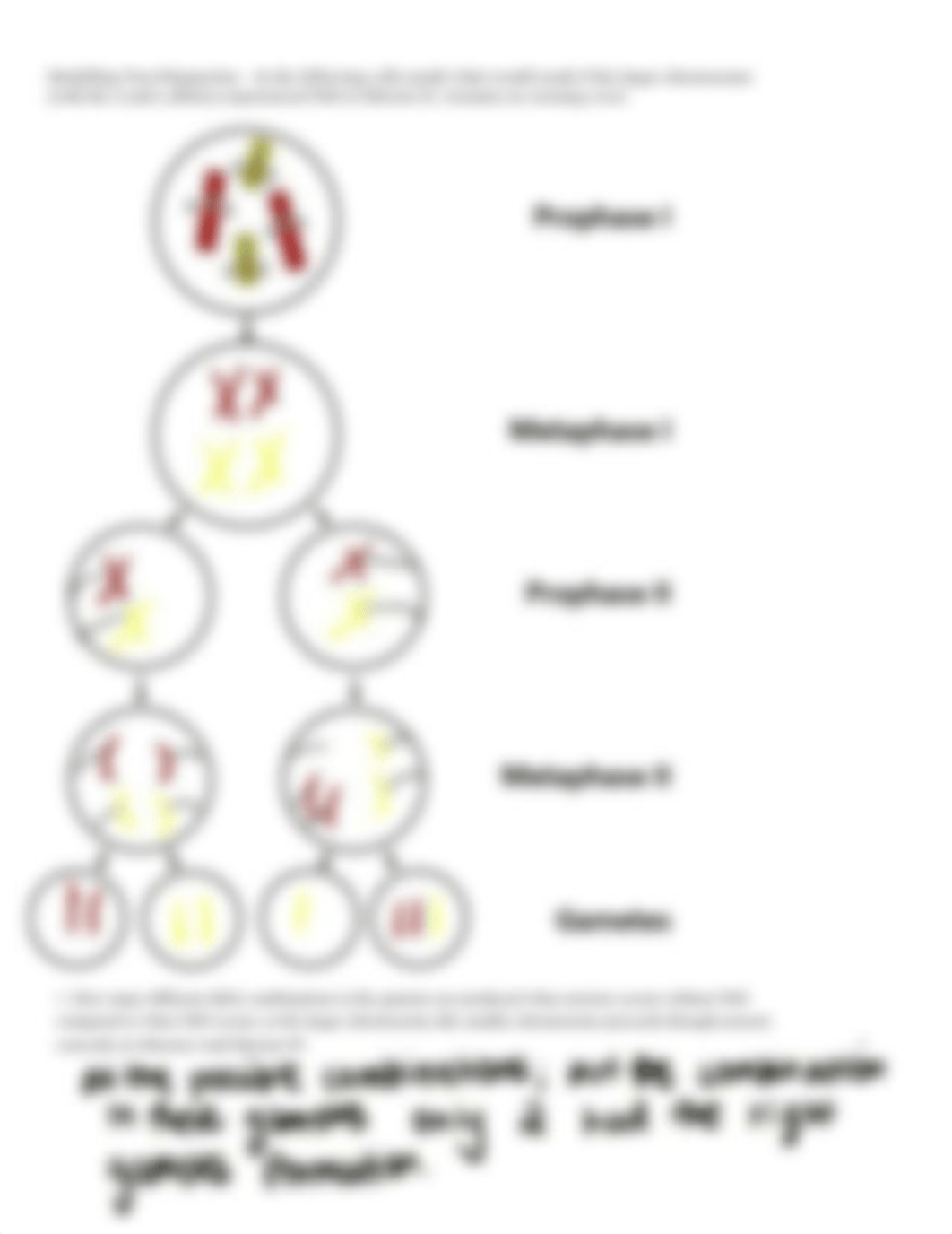 LS7B Week 2 Lab Worksheet S22 (2).pdf_dzix8cvvf9k_page3