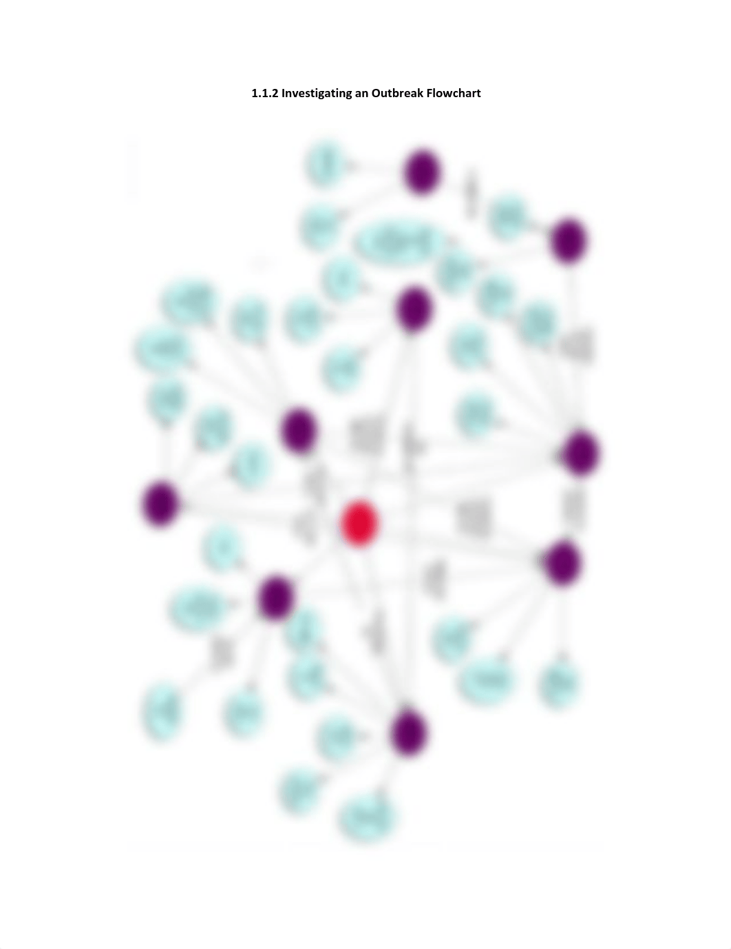 1.1.2 Investigating an Outbreak Flow Chart.pdf_dzj0bbduser_page1