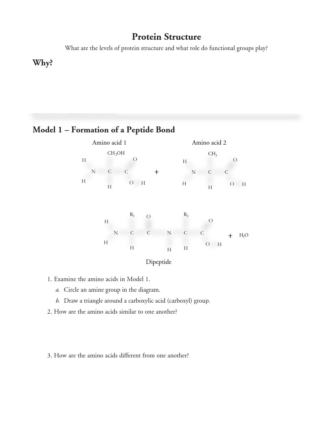 protein pogil.pdf_dzj0mw0nbgp_page1