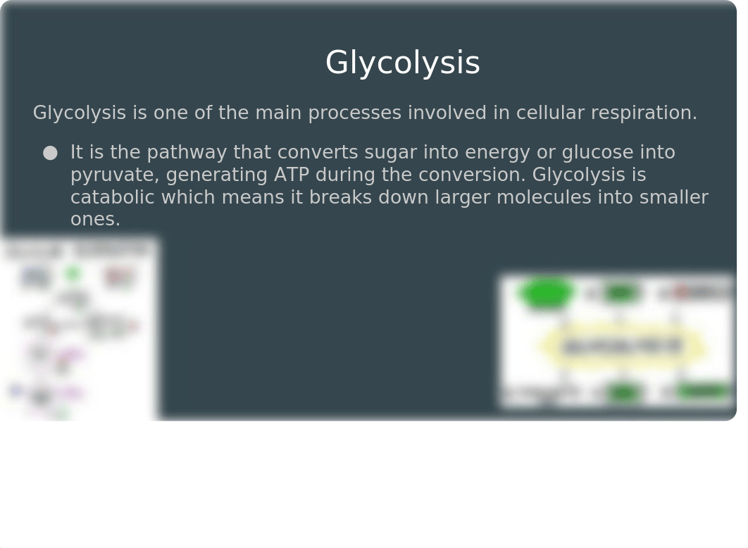 Cellular Respiration_dzj5akiumkd_page4