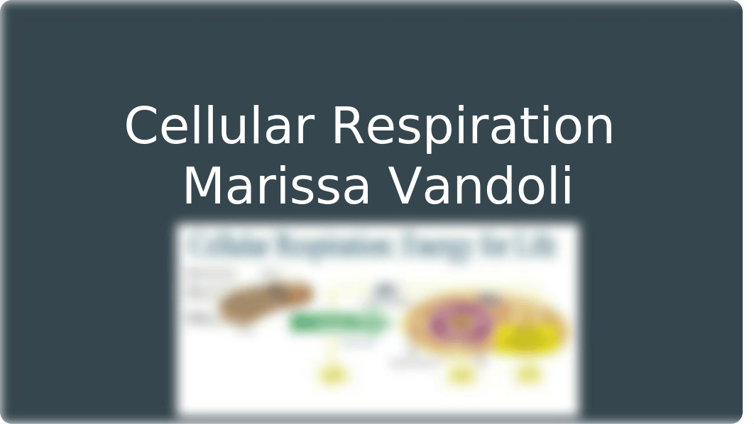 Cellular Respiration_dzj5akiumkd_page1