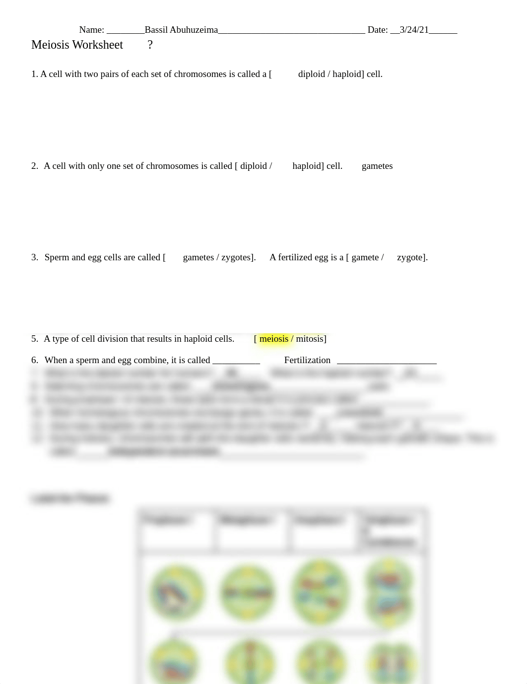 Meiosis Worksheet.docx_dzj88tcoi72_page1