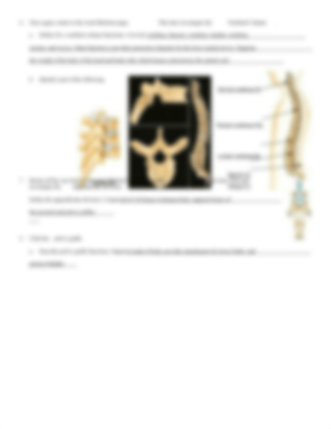 Skeletal.doc_dzjfvcfmh64_page3