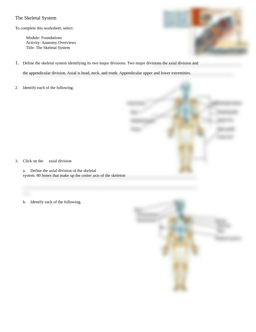 Skeletal.doc_dzjfvcfmh64_page1