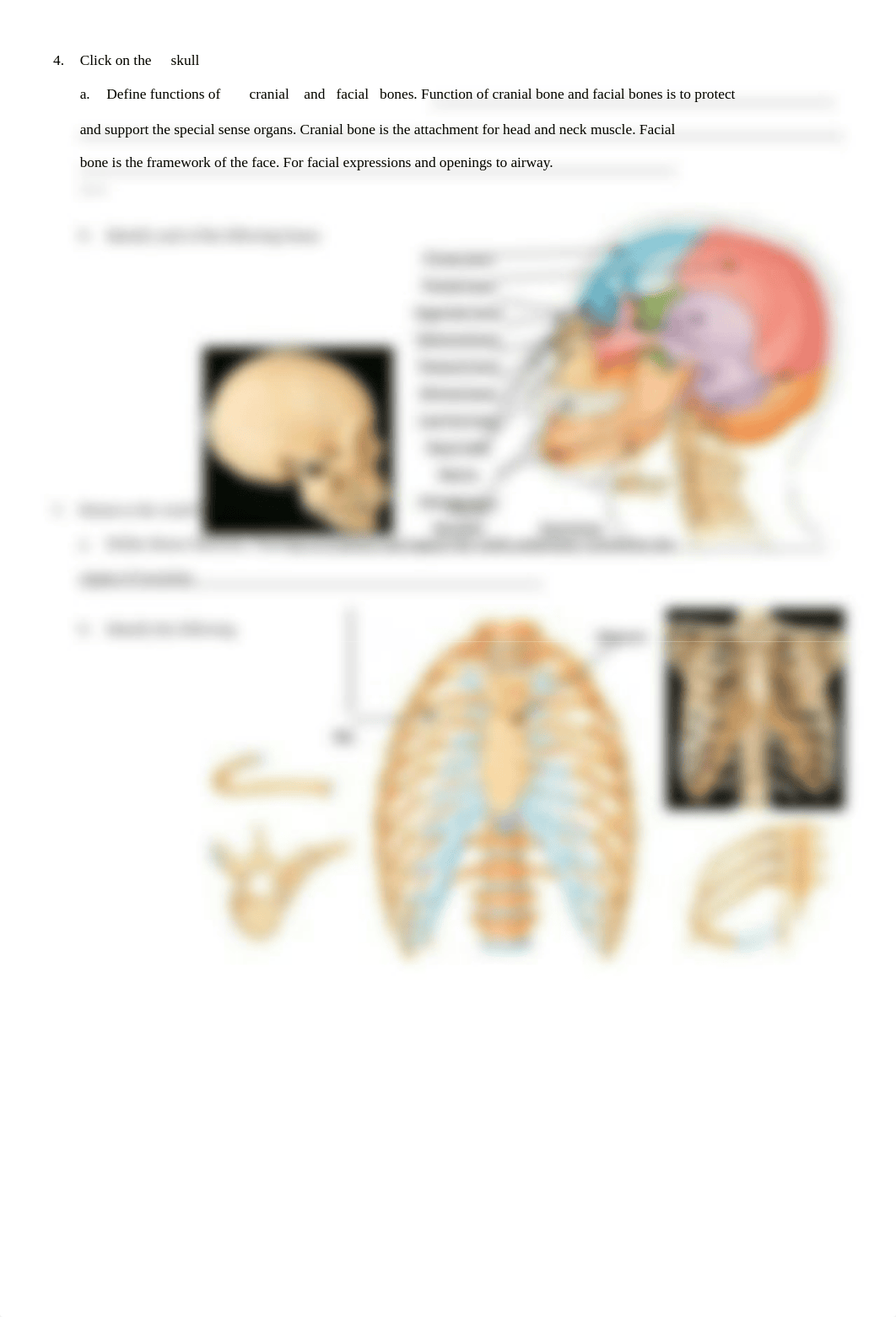 Skeletal.doc_dzjfvcfmh64_page2