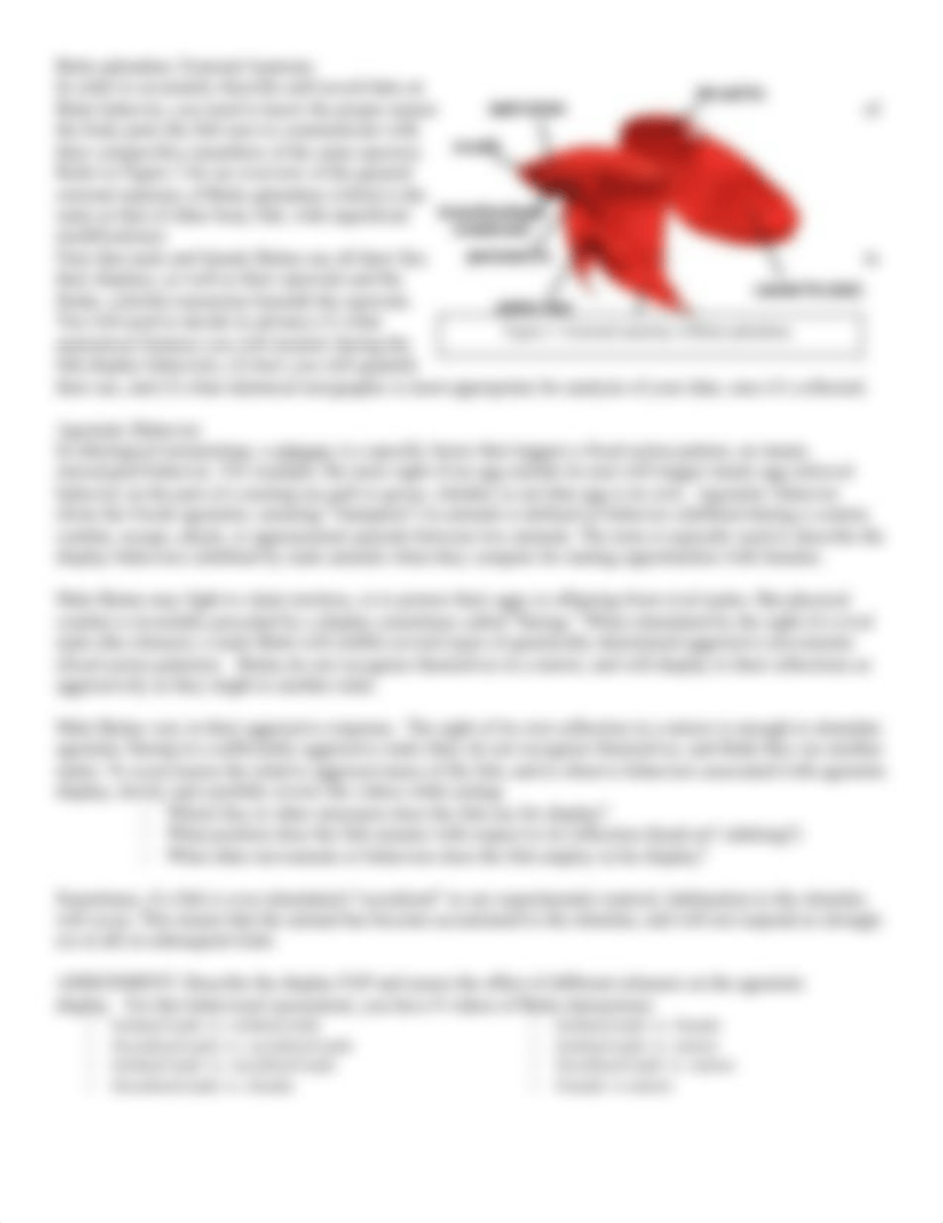 Betta lab.docx_dzjho2a83l9_page2