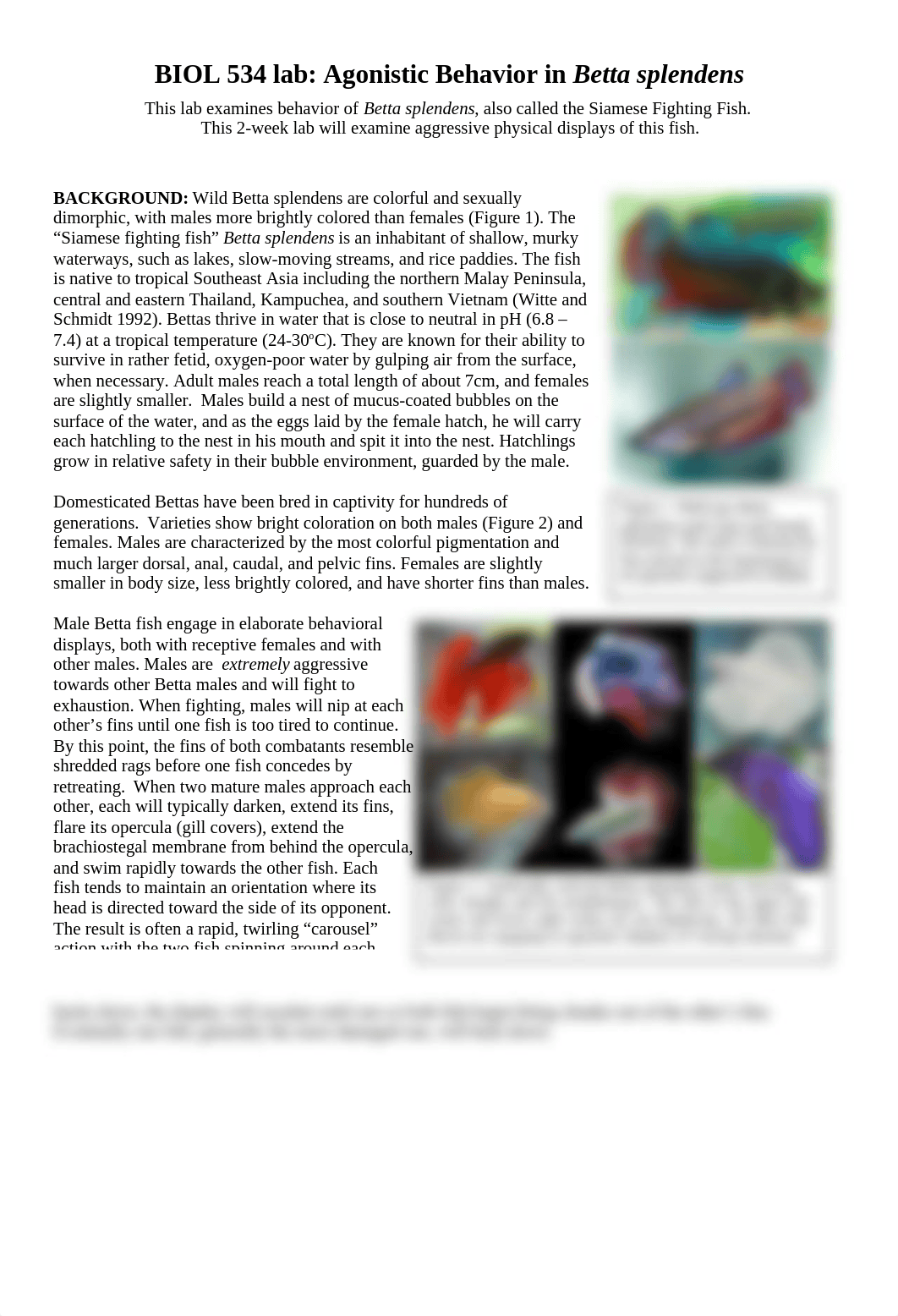 Betta lab.docx_dzjho2a83l9_page1