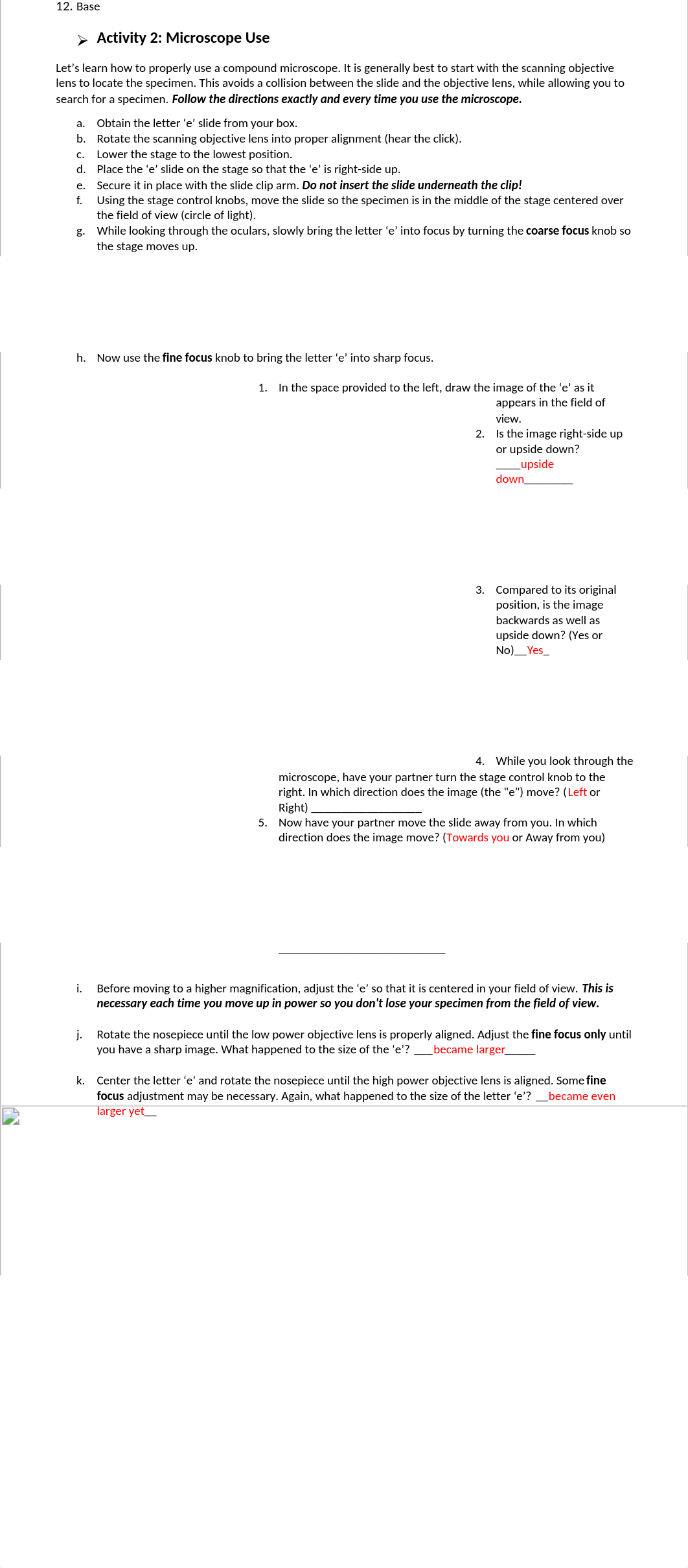 Fundamentals of Lab - Key.docx_dzjonl1oqb3_page2