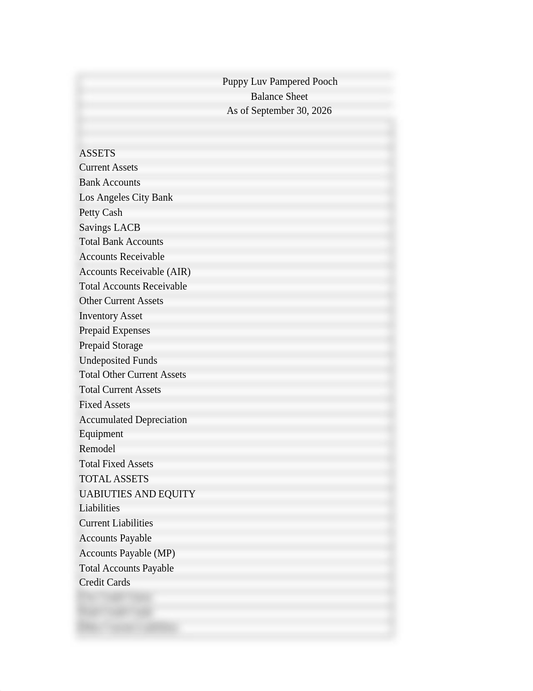 CH11 Balance sheet.xlsx_dzjp08y5a47_page1