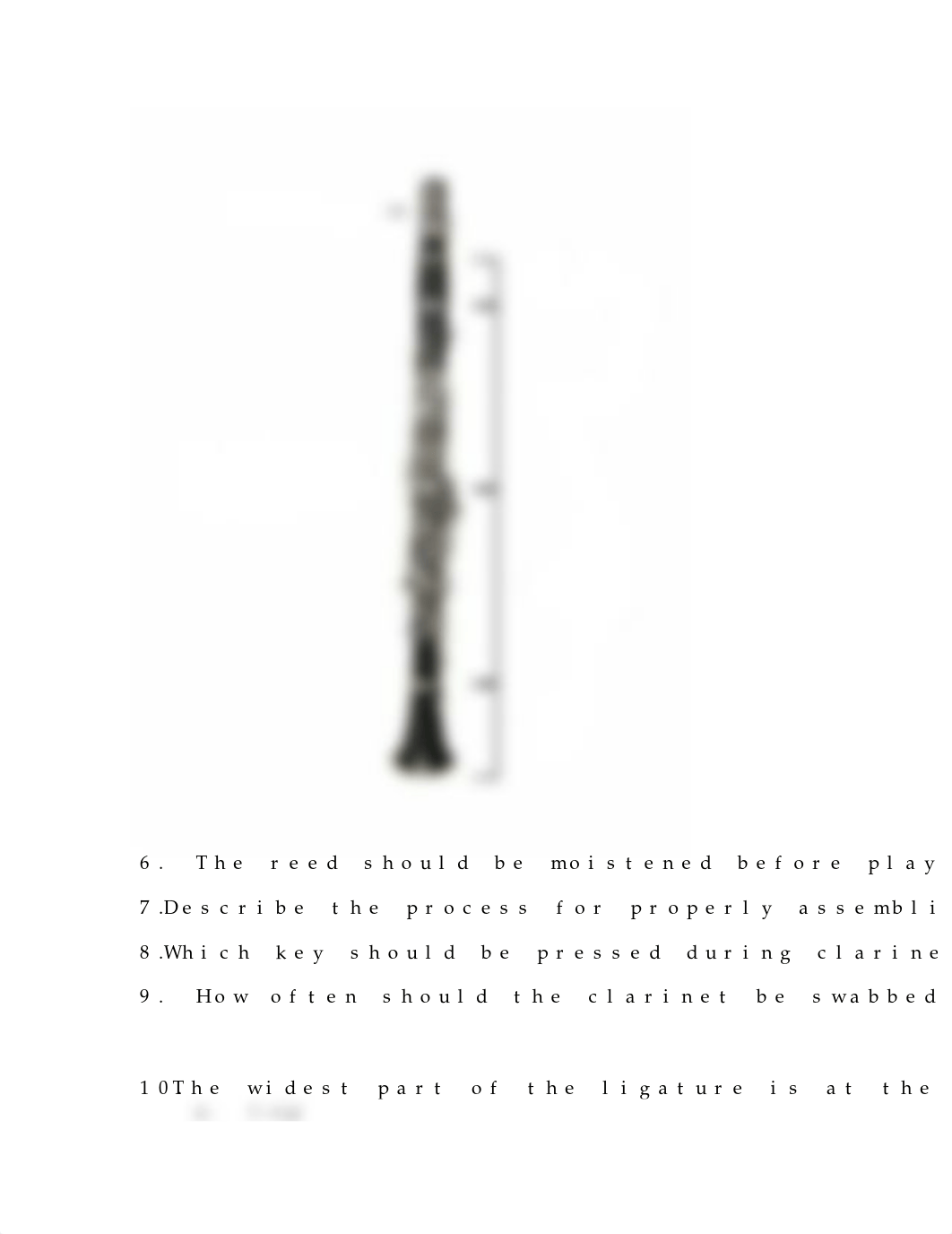 Clarinet Quiz Questions.docx_dzjpk374gog_page2