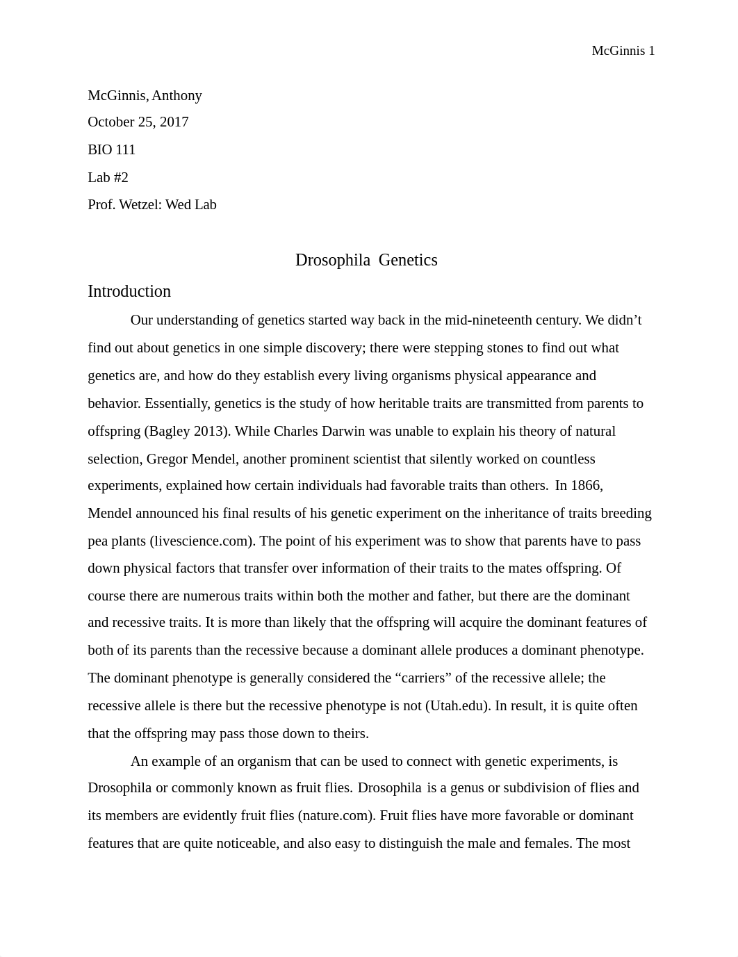 Drosophila Genetics Final Lab Report.docx_dzka7xyqzdb_page1