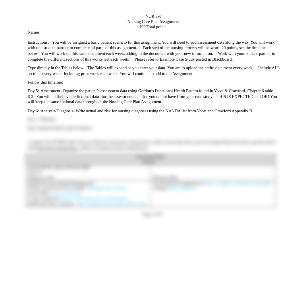 NUR 297 Nursing Process Care Plan Assessment.docx_dzkam5a7g2o_page1