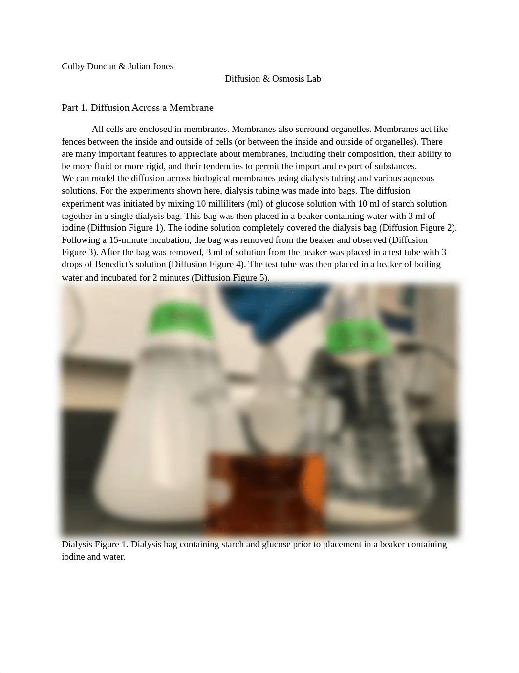 Diffusion & Osmosis Lab .docx_dzkdfuw8ezx_page1