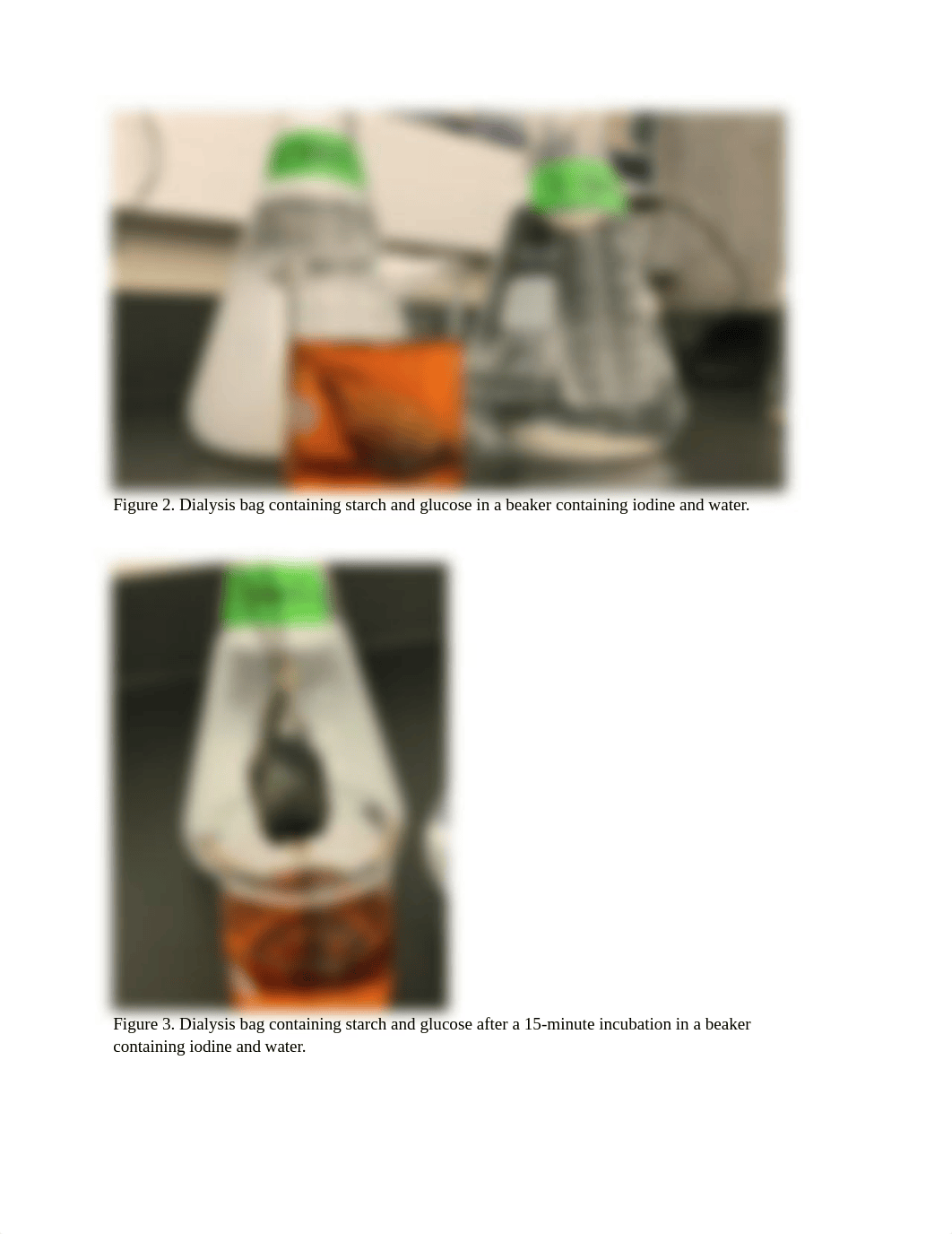 Diffusion & Osmosis Lab .docx_dzkdfuw8ezx_page2