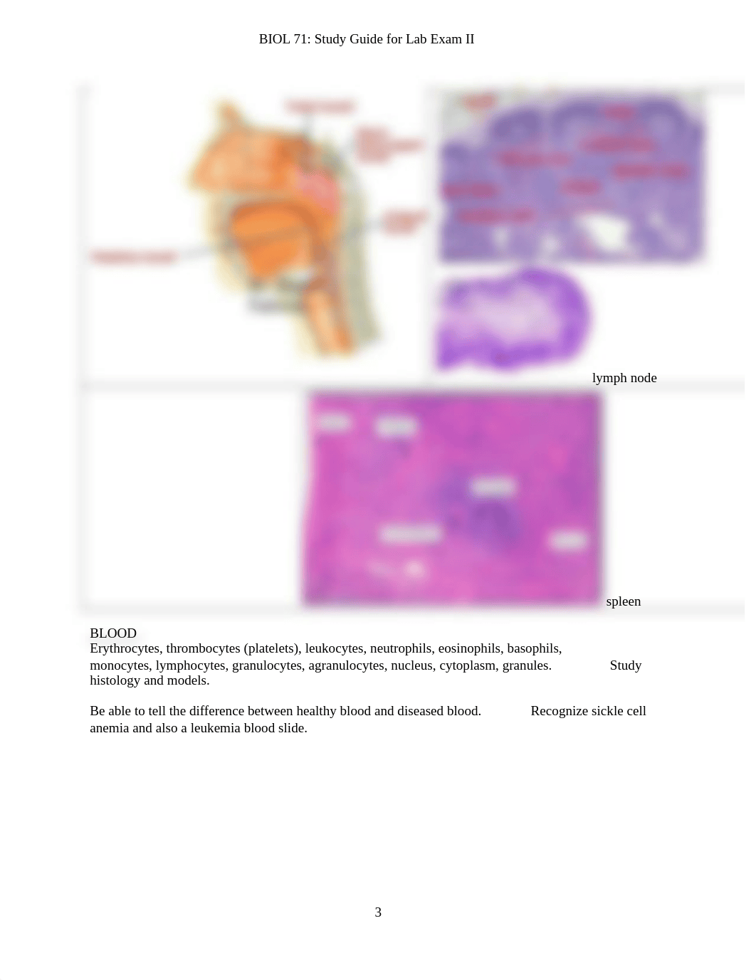 Biol 71 Lab Exam II Study Guide updated 10.19.21.docx_dzke8v7eb74_page3