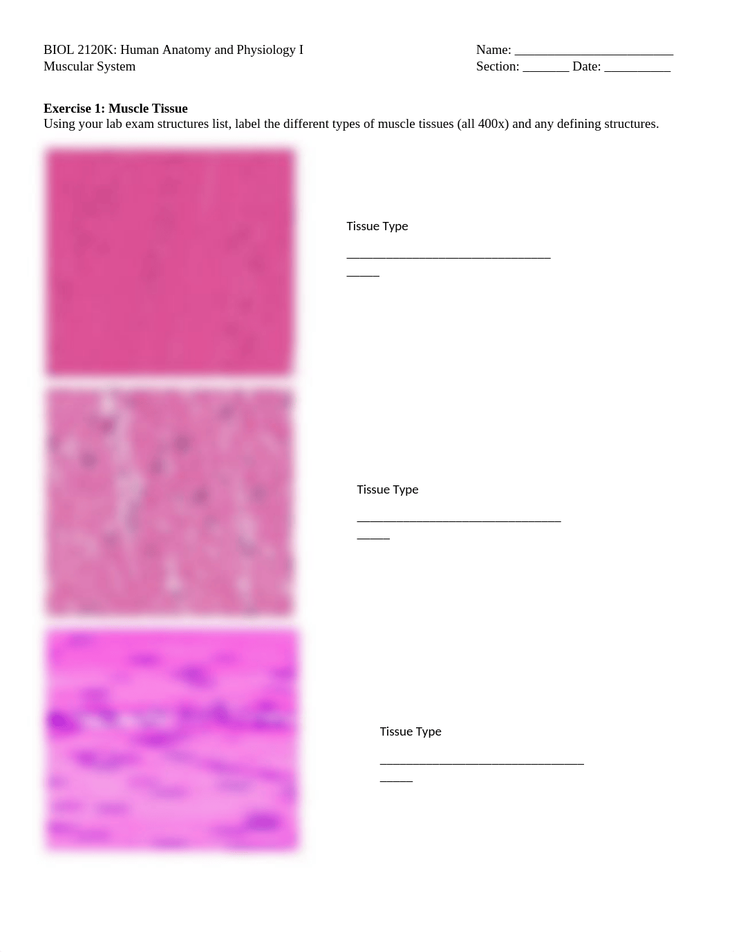 Bio 2120K Lab 6 .docx_dzkemhobcv3_page1