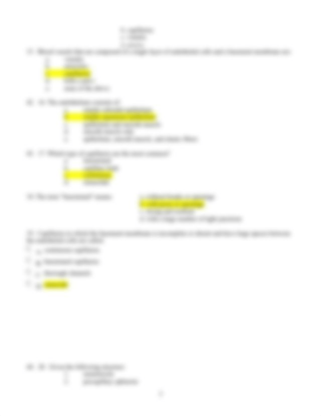 Chap 21 Vessels THQ-Study Guide.rtf_dzkjgjlhq6f_page3