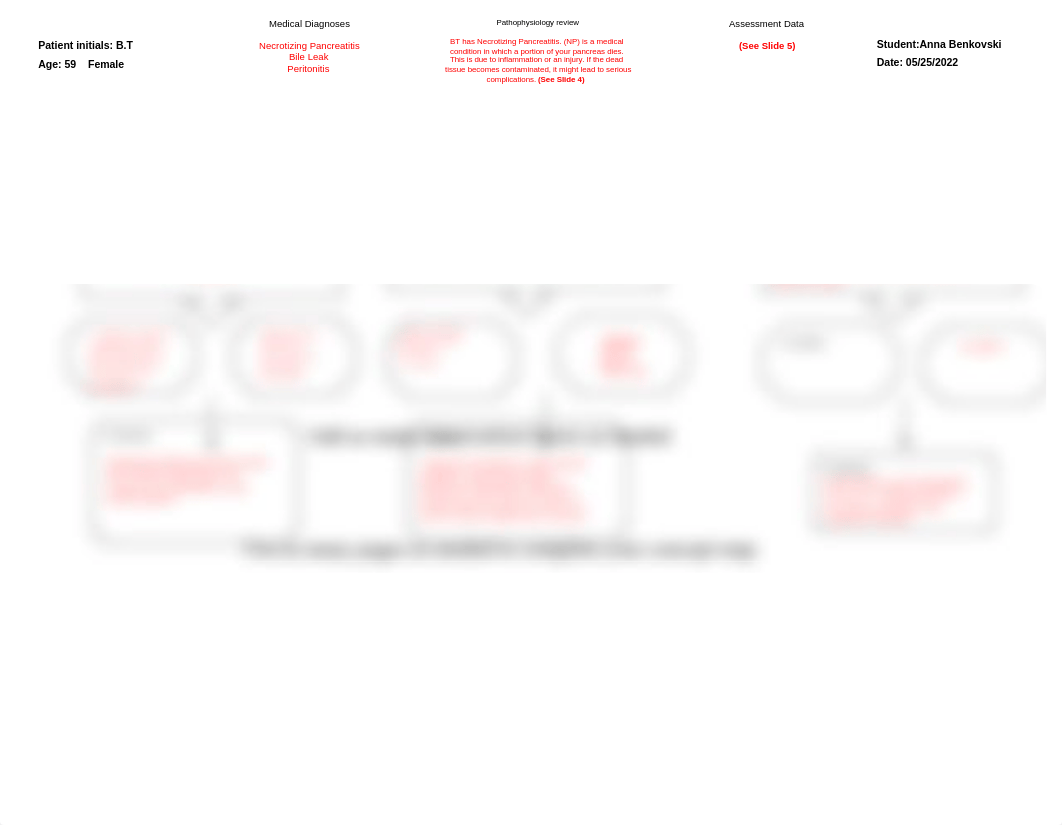 Concept Map RUA Week 4 Patient Care.pptx_dzl2vkiqqov_page2