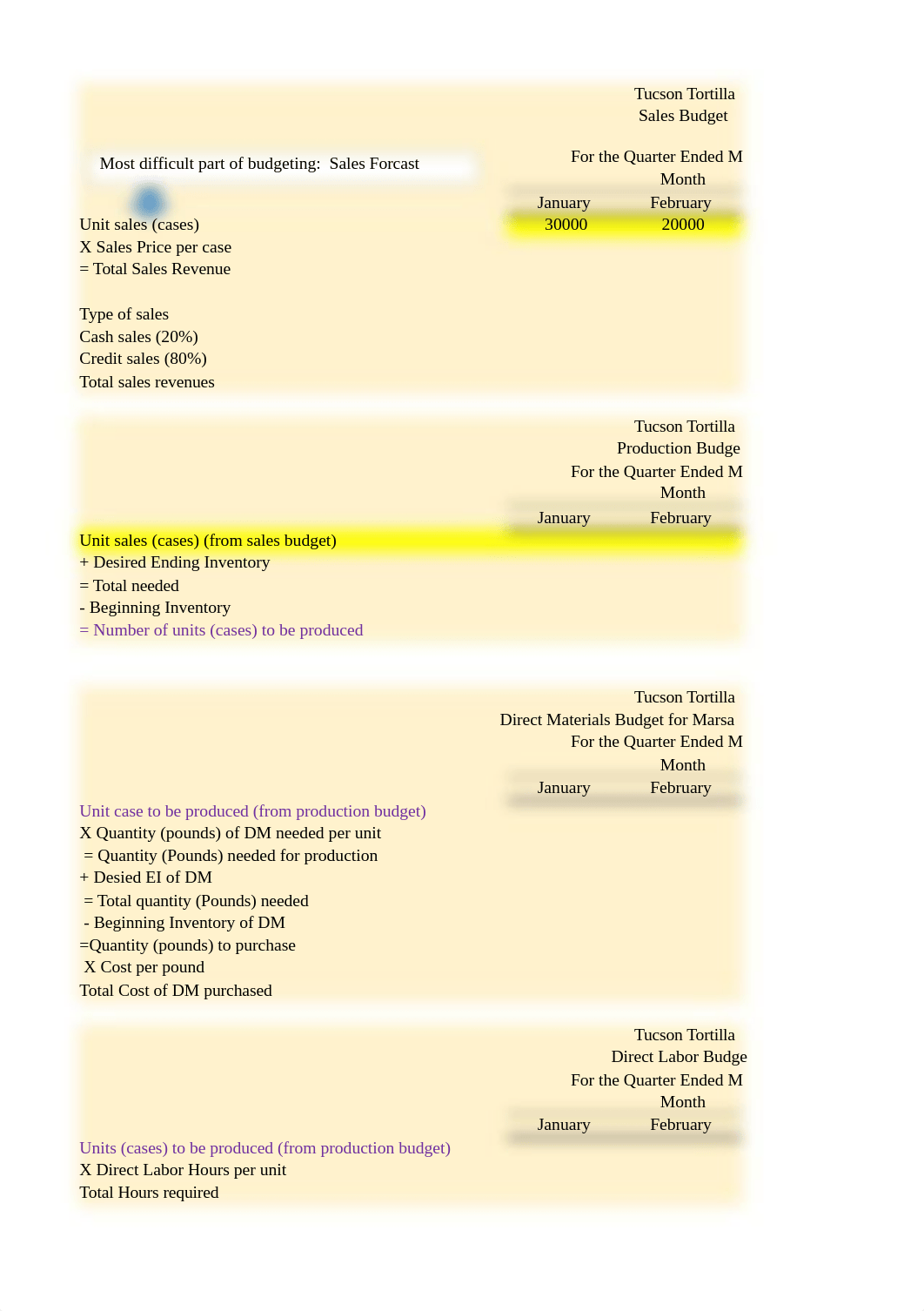 Excel Spreadsheet for Master Budget.xlsx_dzl5z2f2jsk_page1