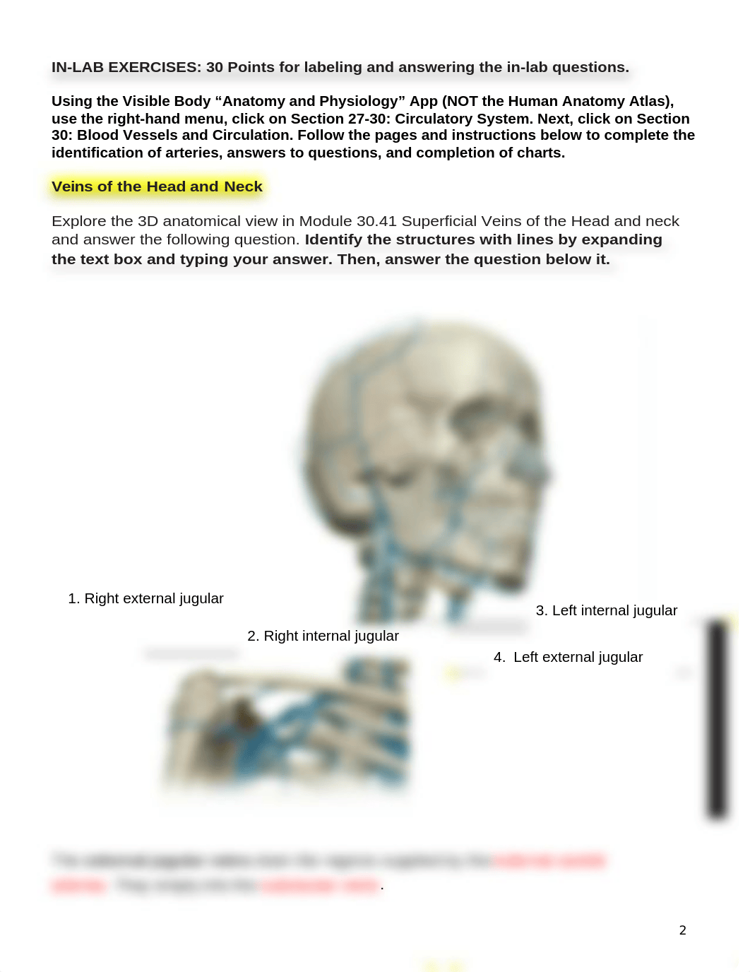 BIO 211 Lab 4.docx_dzl6vzes883_page2