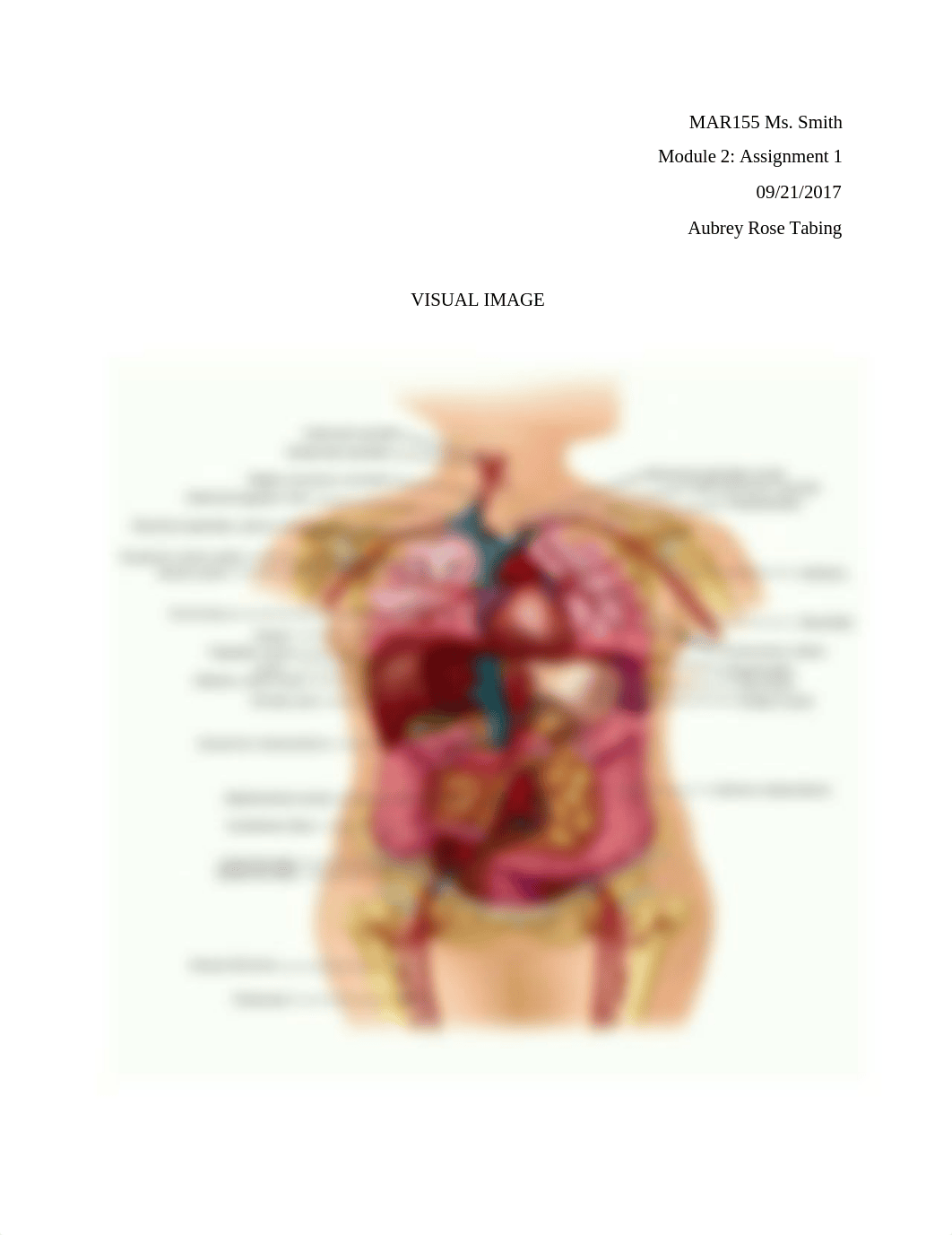 Visual image.docx_dzlb2asnlhb_page1