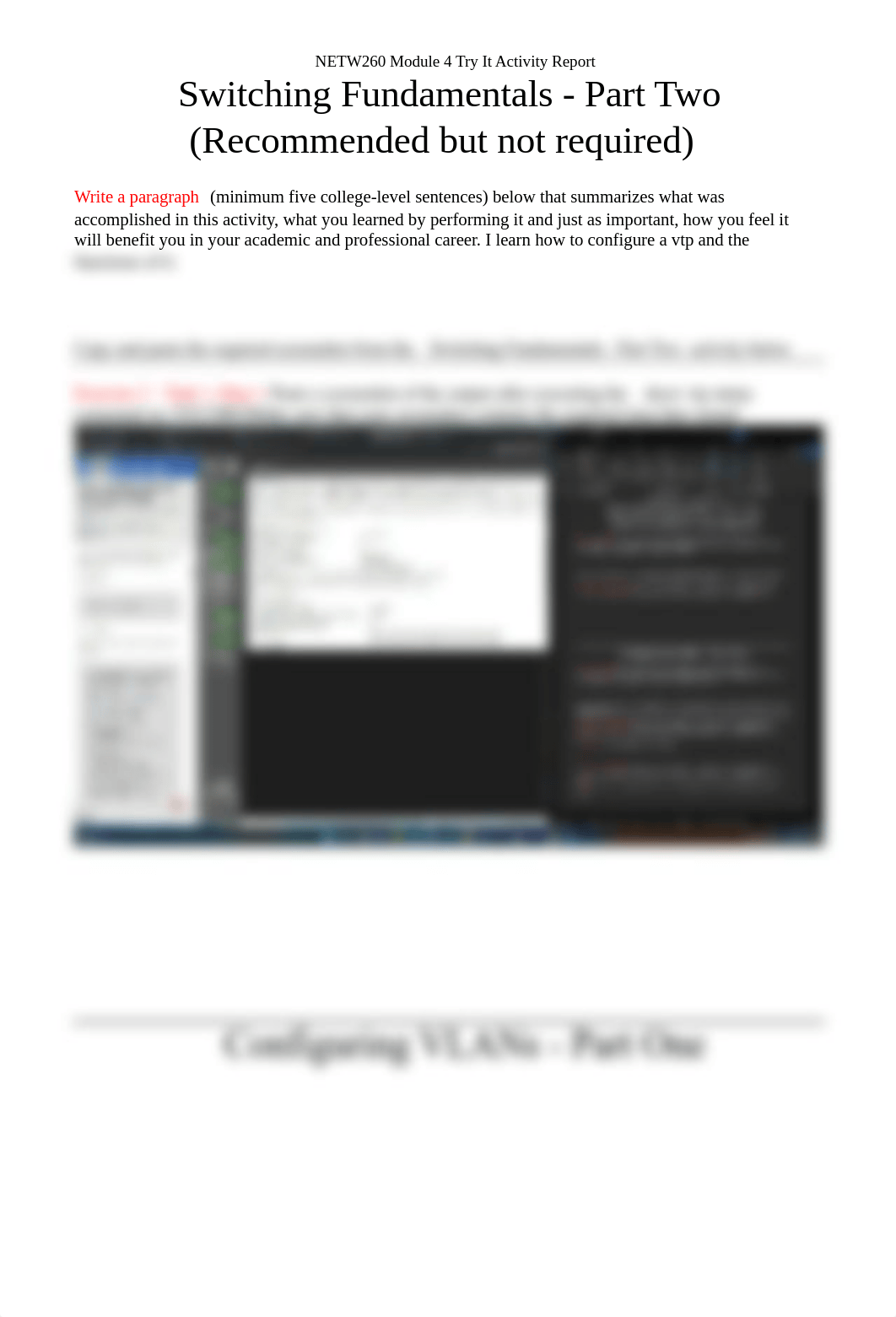 NETW260 Module 4 Try It Activity Report.docx_dzle5r9b736_page2