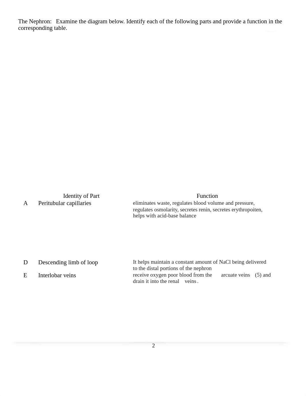 Lab 13 Urinary Systemrangel.melissa.docx_dzllm3a74rb_page2