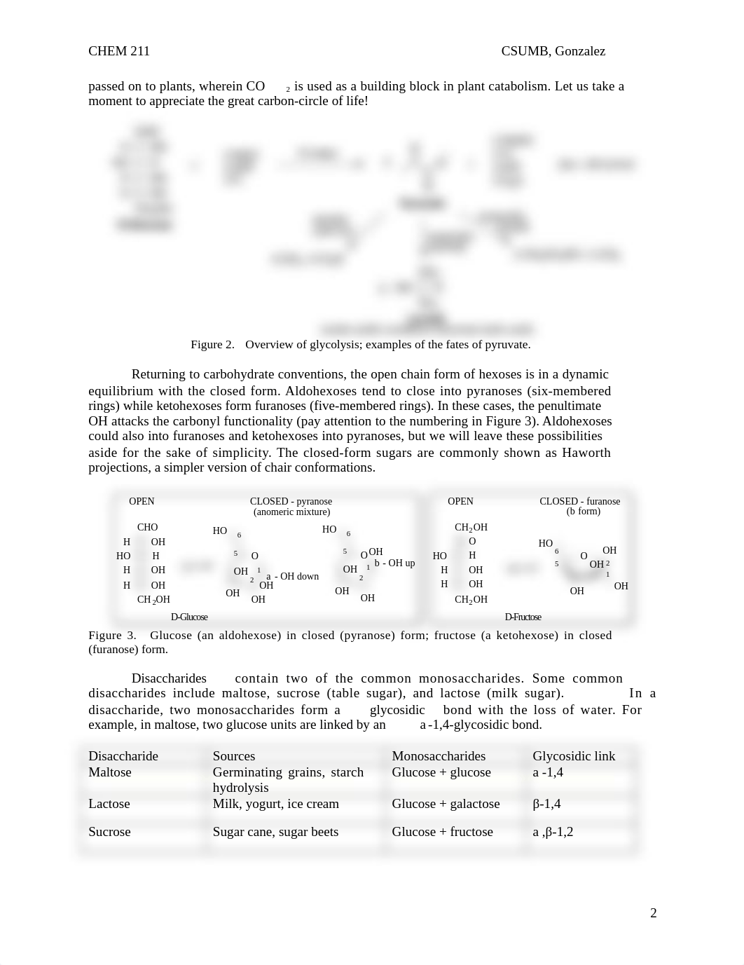 Exp 13 Fa20- Carbohydrates.docx_dzlyie6smfx_page2