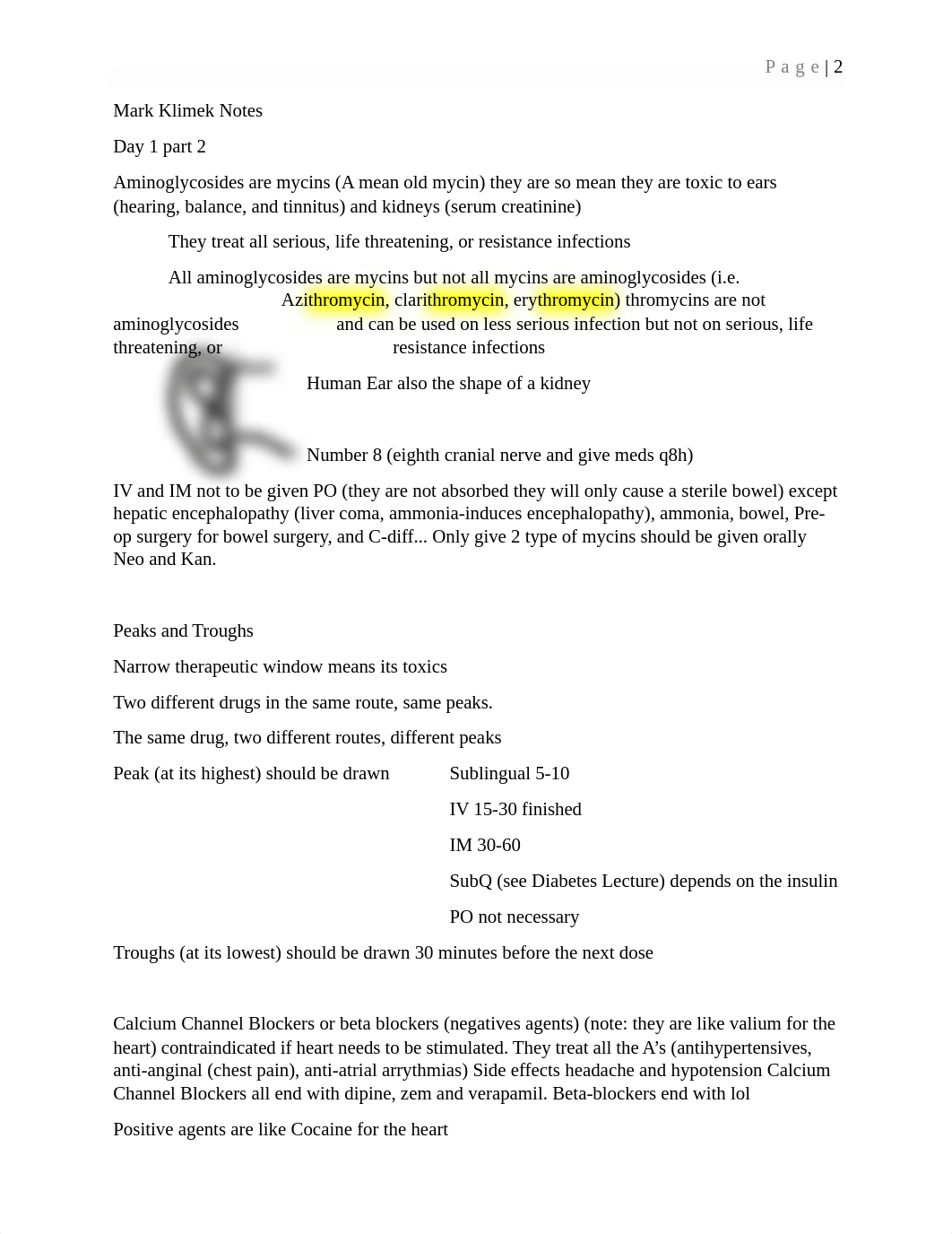 mark klimek notes.docx_dzm2v9zring_page2