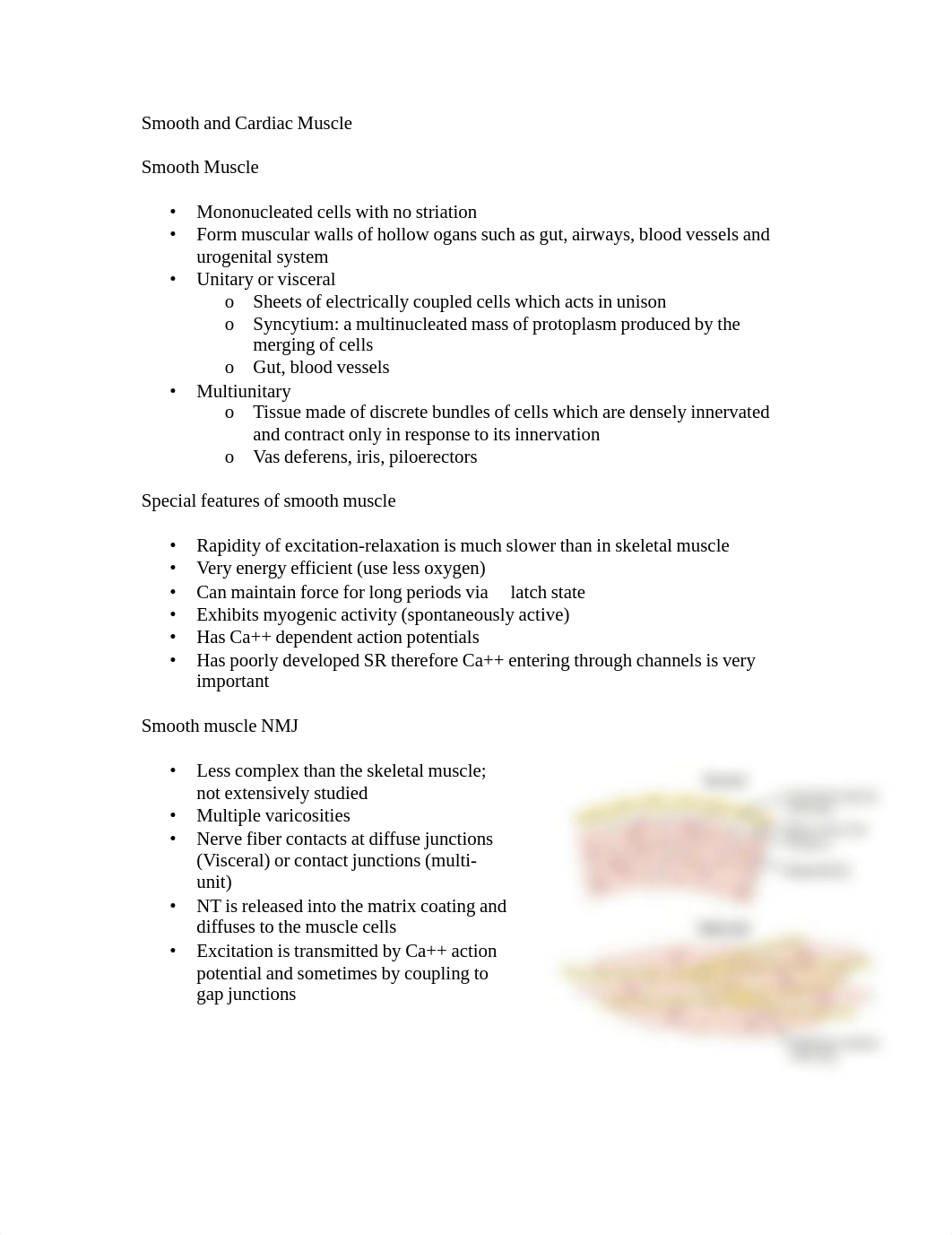 8,9,17 Smooth and Cardiac Muscle.pdf_dzm89acf0cc_page1