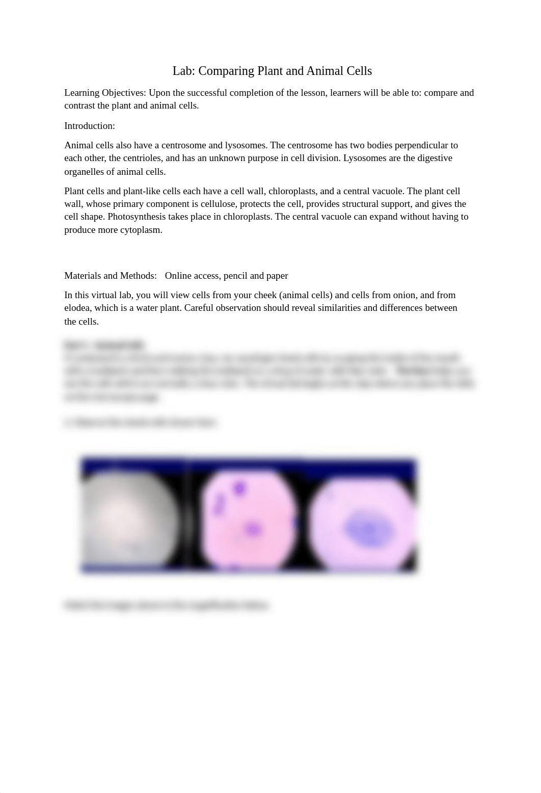 Lab- Comparing Plant and Animal Cells.docx_dzm9dexx4qz_page1