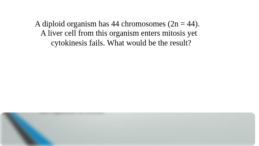 Mitosis and Meiosis Review Questions.pptx_dzmdxg1fz12_page3