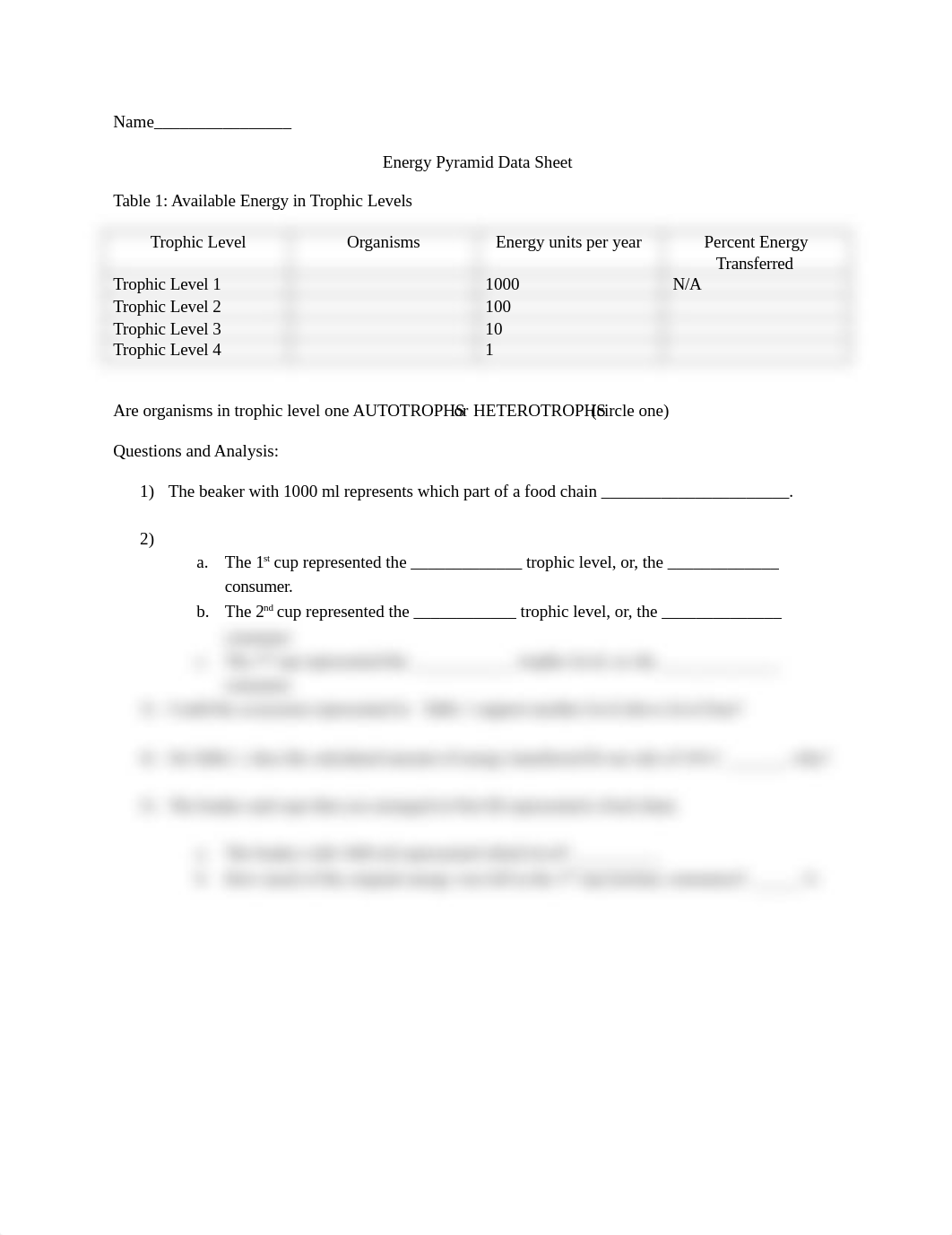 Energy-Pyramid-Data-Sheet.docx_dzme90tvavy_page1