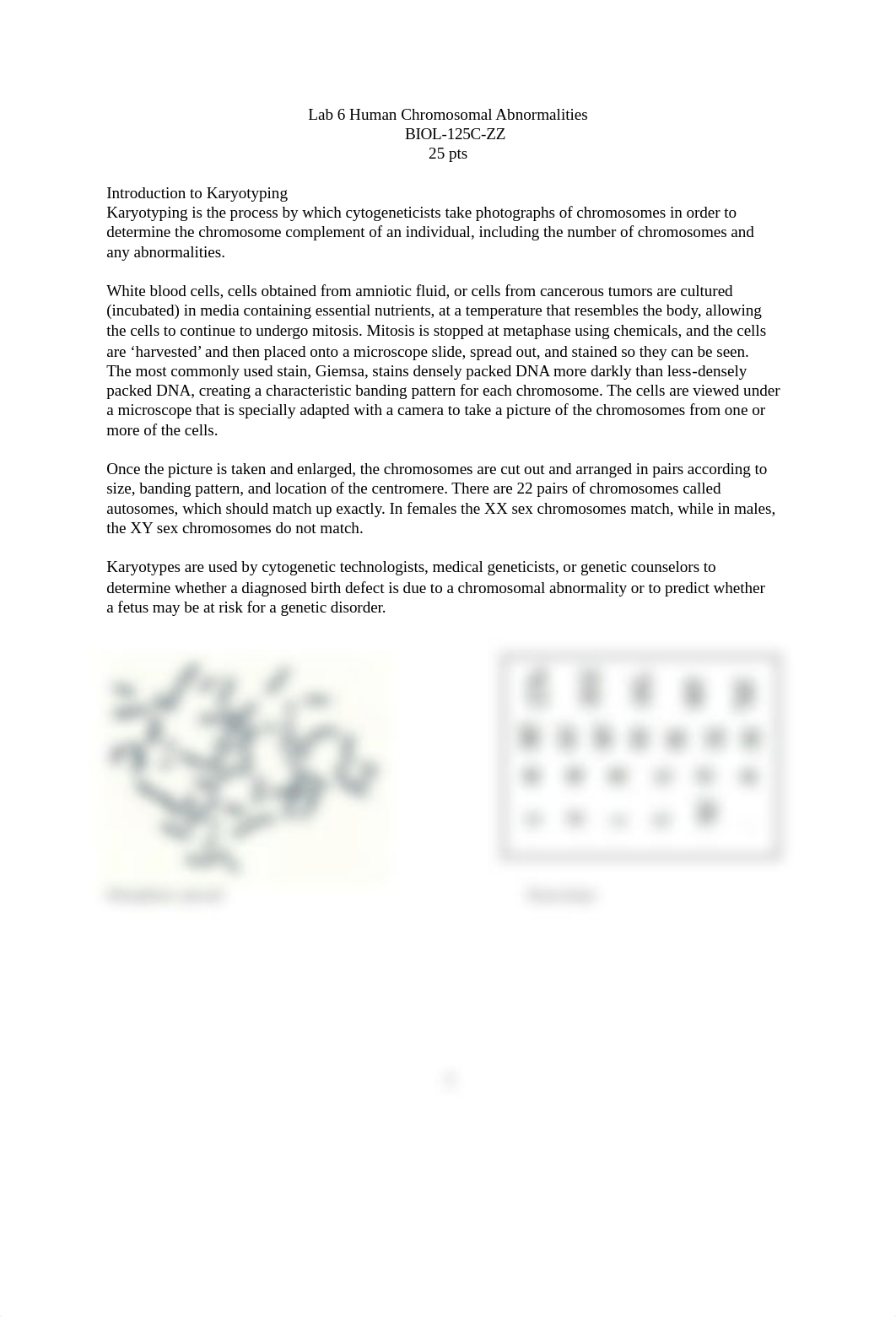 Lab 6 Human Chromosomal Abnormalities1.docx_dzmeptcmvi2_page1