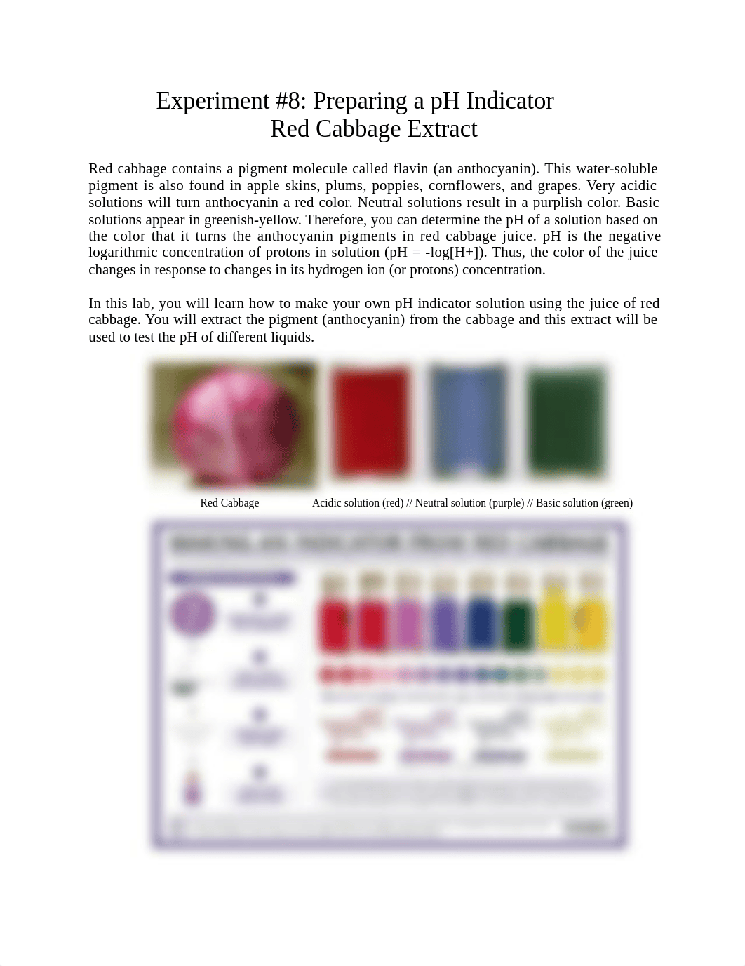 Experiment 8-Preparing a pH Indicator (3).docx_dzmj3galh3v_page1