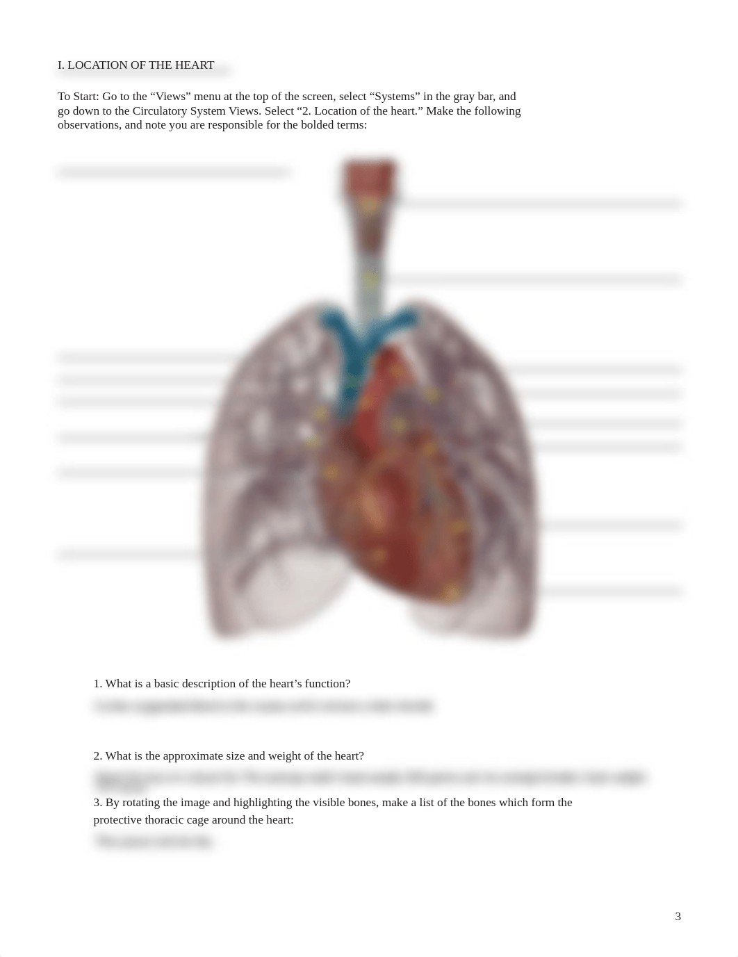 lab manual_human heart_atlas.pdf_dzmp9fd1aa4_page3