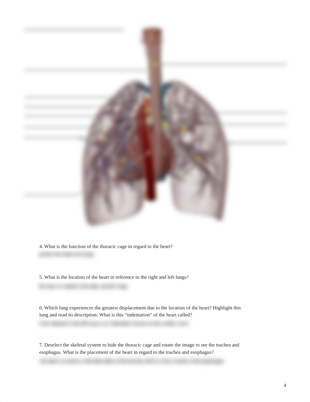 lab manual_human heart_atlas.pdf_dzmp9fd1aa4_page4