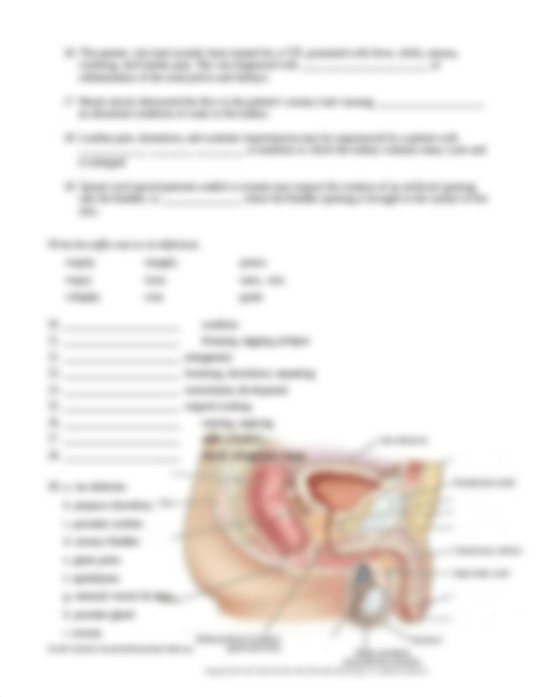 Quiz 3 Ch6and7.doc_dzmzgy1tsmg_page2