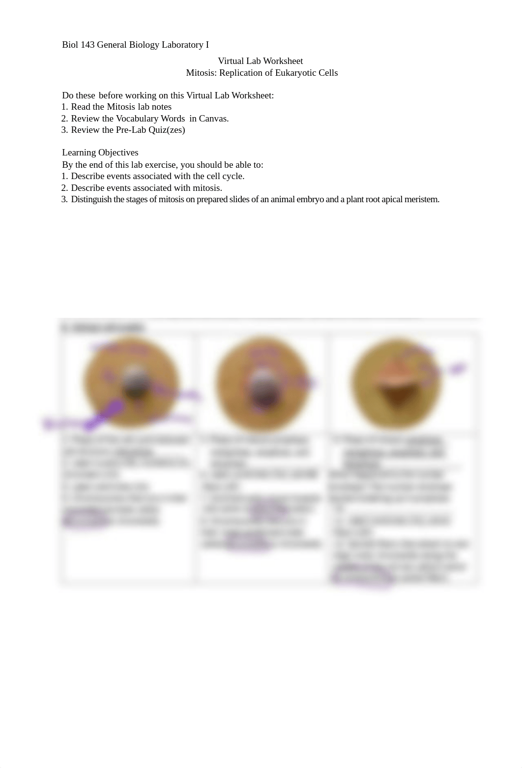 Mitosis Virtual Lab Worksheet (Counts Towards Pre-Lab Grade).pdf_dzn2297pznv_page1