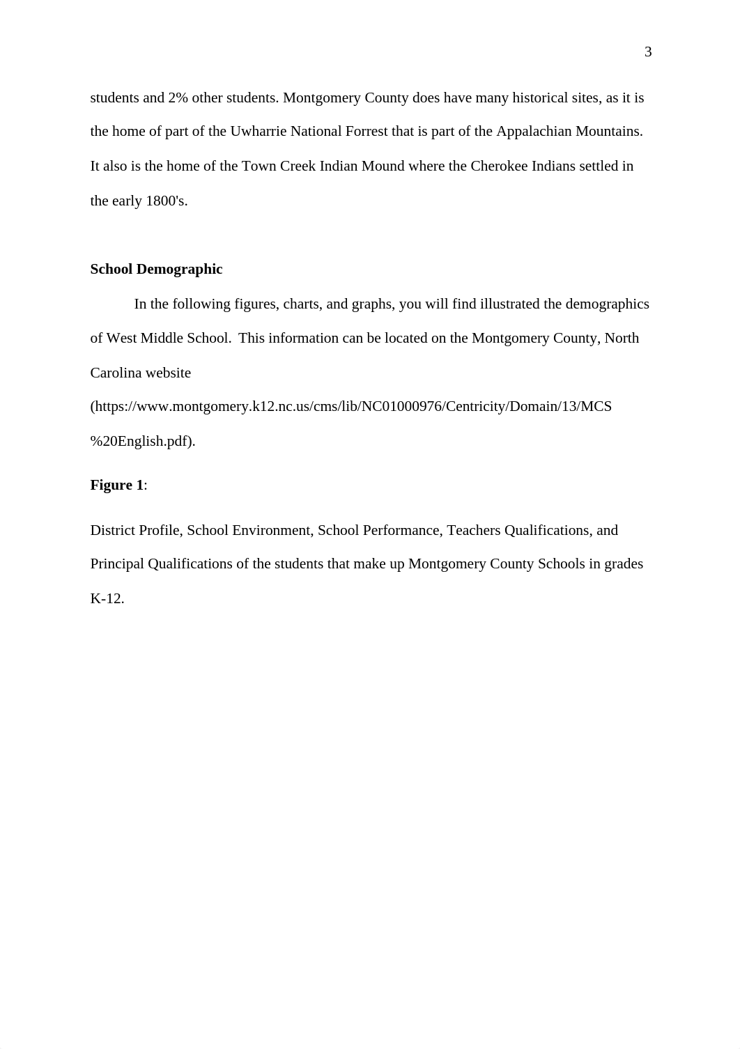 OMA_Final.docx_dznj1a0x5qi_page3