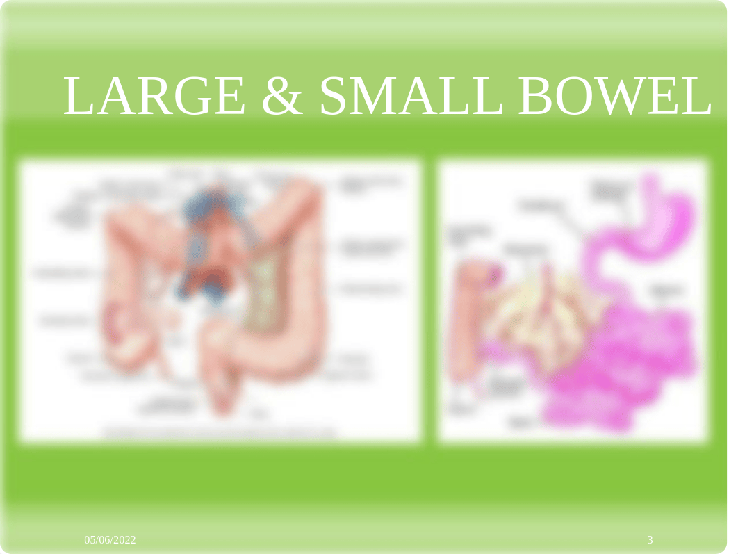 Inflammatory Bowel Disease ppt 2021 student (1).pptx_dznlqqp56tq_page3