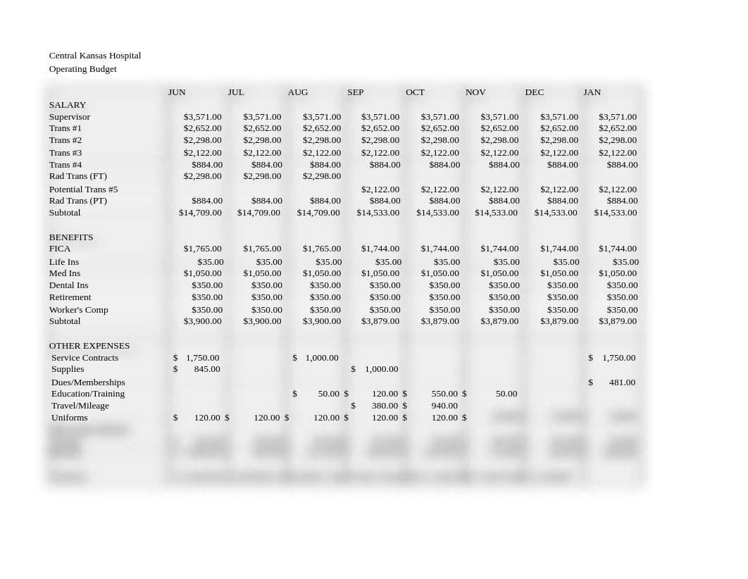 budget assignment.xlsx_dzo4dzobuwp_page1