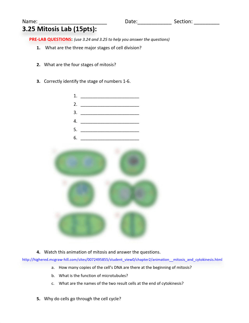 3.25 Mitosis Lab (15) Semester 1_dzo74anuumd_page1